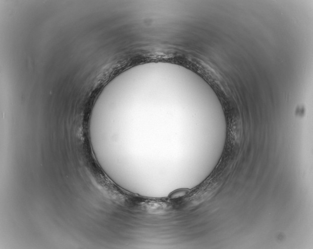 X0000093600512200711051201