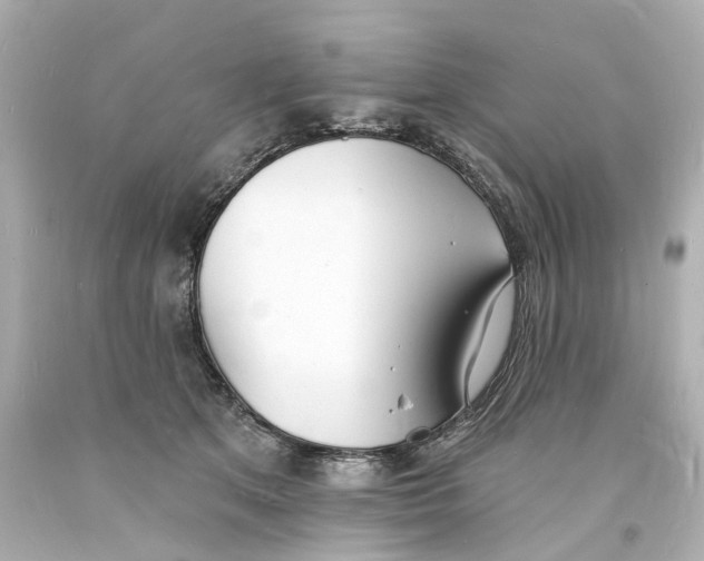 X0000093600513200711051201