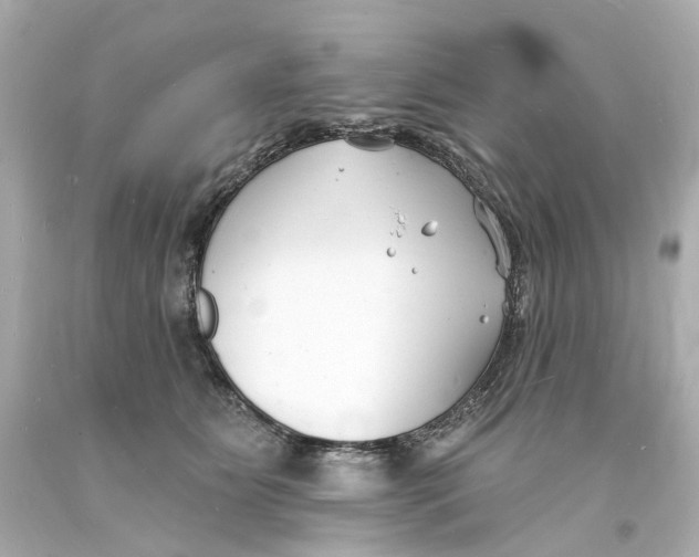 X0000093600515200711051201