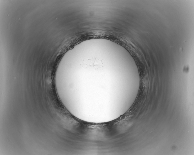 X0000093600516200711051201