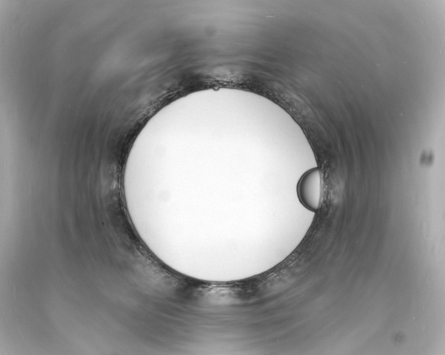 X0000093600518200711051201