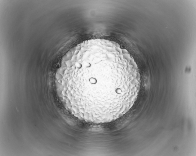 X0000093600519200711051201