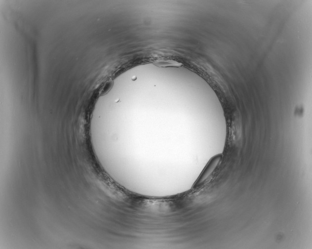 X0000093600520200711051201