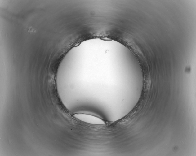 X0000093600521200711051201