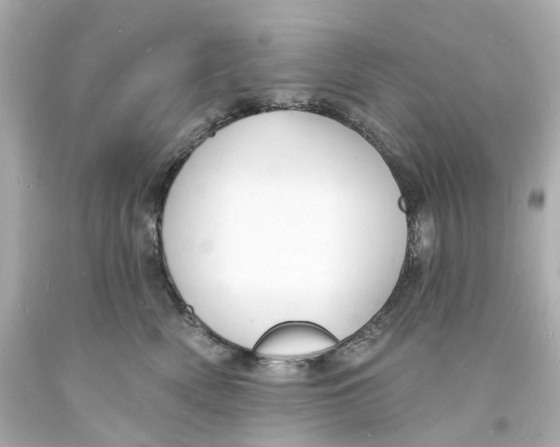 X0000093600522200711051201