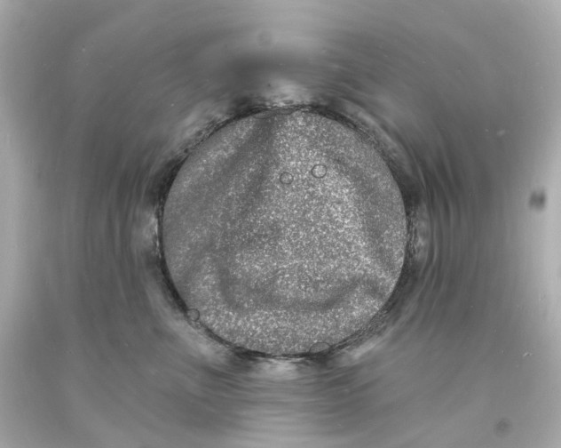 X0000093600523200711051201