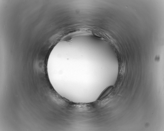 X0000093600524200711051201