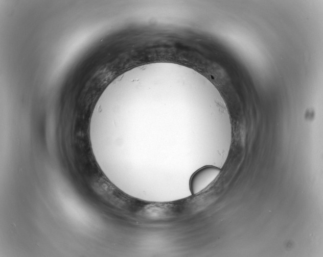 X0000093600526200711051201