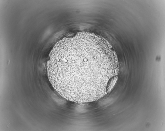 X0000093600527200711051201