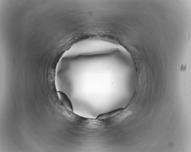 X0000093600528200711051201