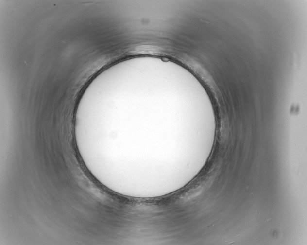 X0000093600529200711051200