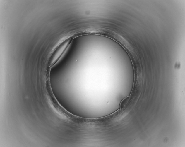 X0000093600530200711051200