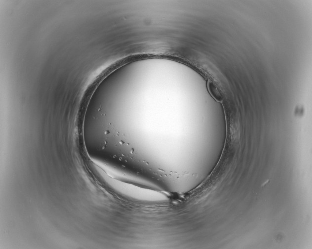 X0000093600532200711051200