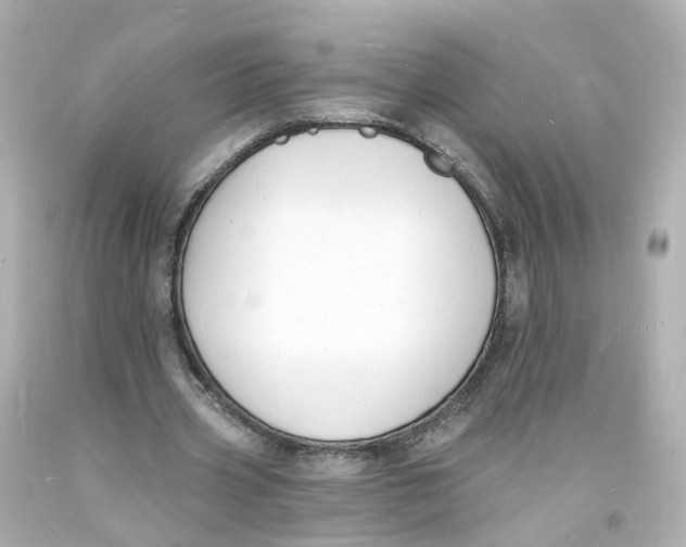 X0000093600533200711051200