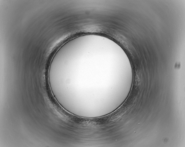 X0000093600535200711051200