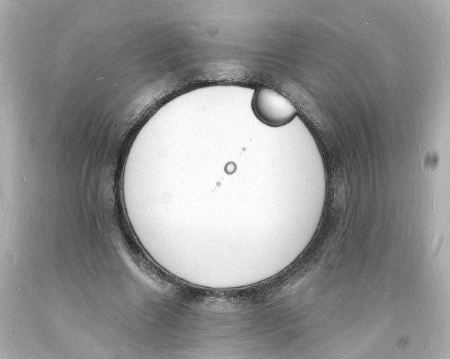 X0000093600538200711051200