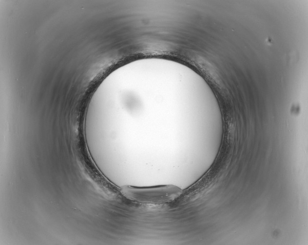 X0000093600539200711051200