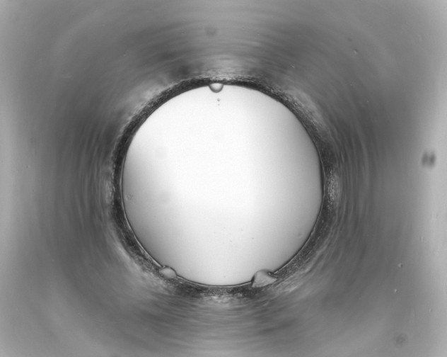 X0000093600540200711051200