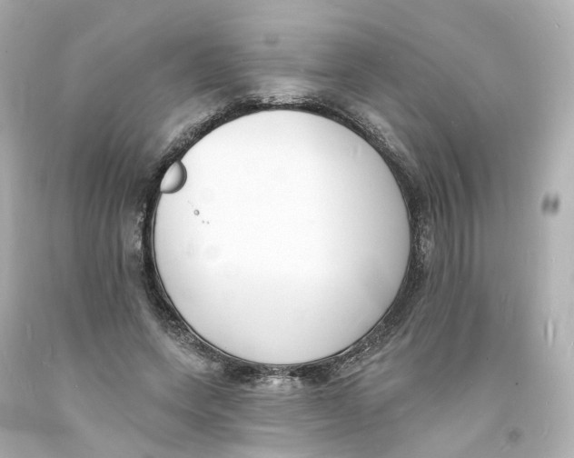 X0000093600543200711051200