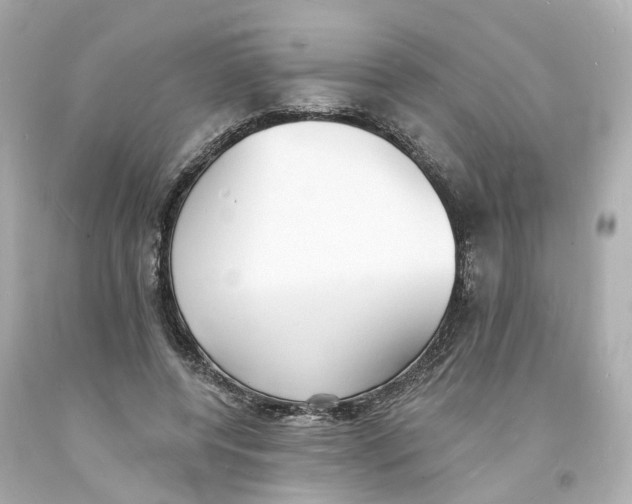 X0000093600544200711051200