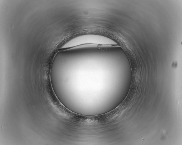 X0000093600546200711051200