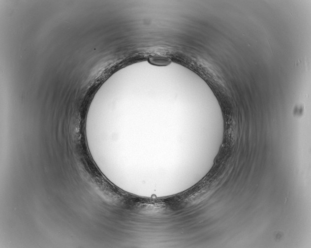 X0000093600548200711051200