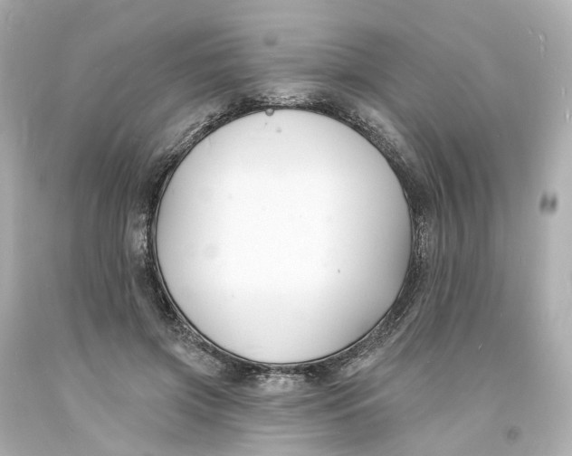 X0000093600549200711051200