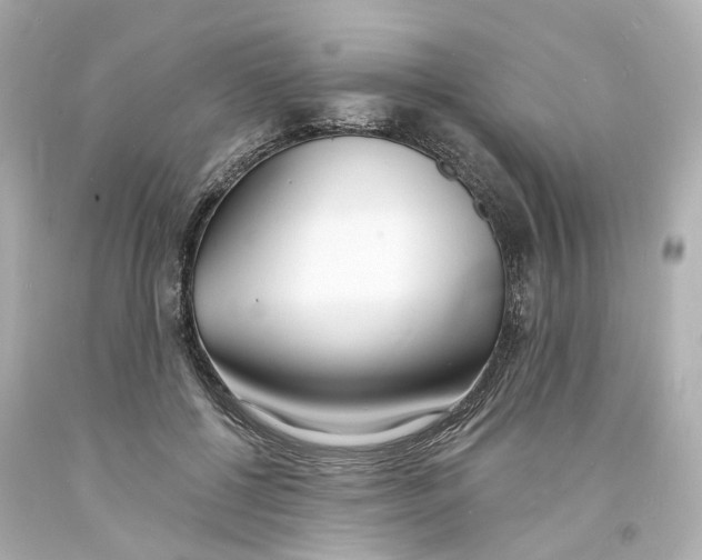 X0000093600552200711051200