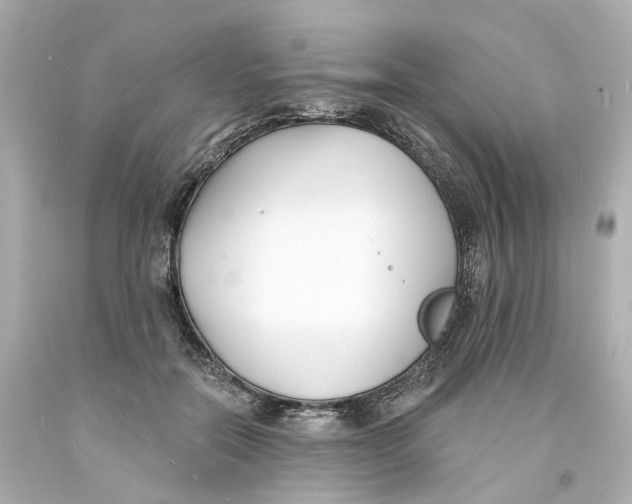 X0000093600554200711051200