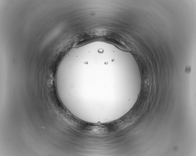 X0000093600555200711051200