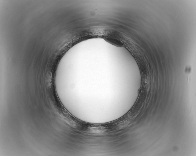 X0000093600556200711051200