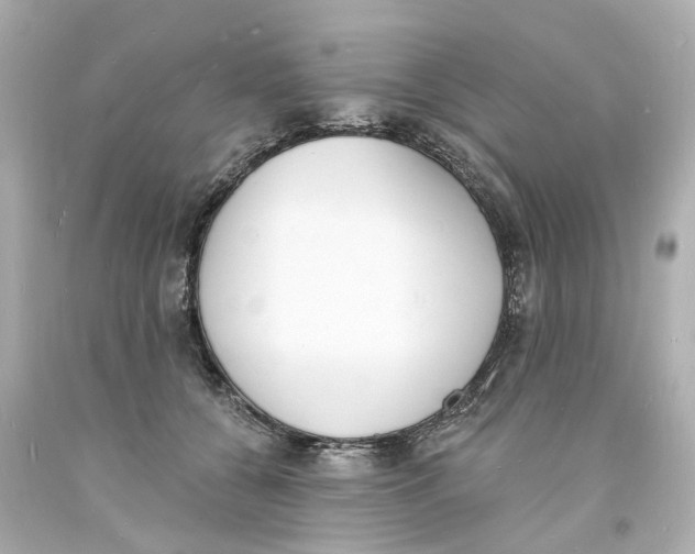 X0000093600560200711051200