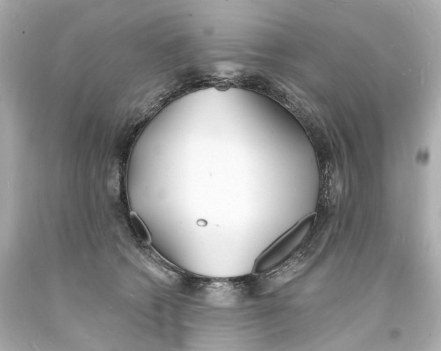 X0000093600562200711051200