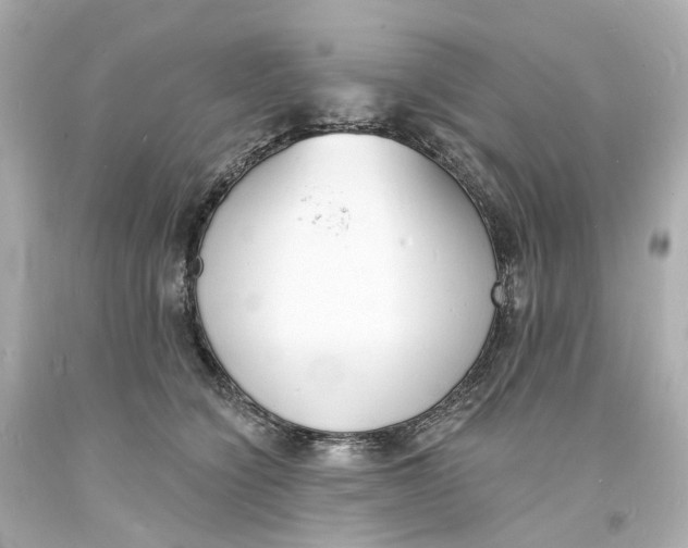 X0000093600564200711051200