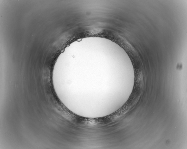 X0000093600565200711051200