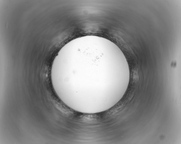 X0000093600567200711051200