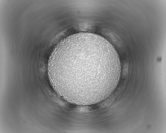 X0000093600569200711051200