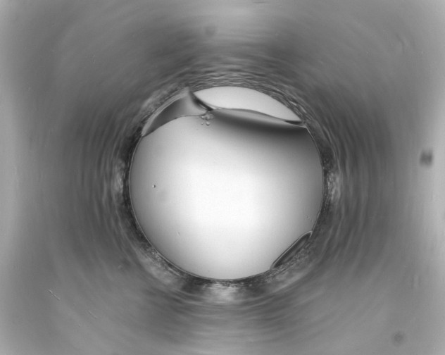 X0000093600570200711051200