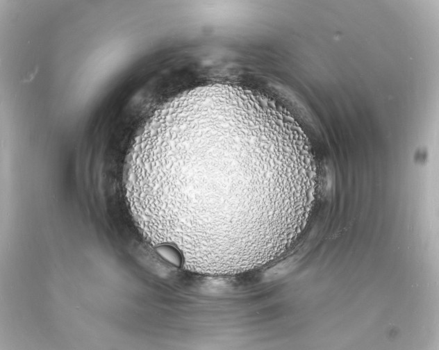 X0000093600573200711051200