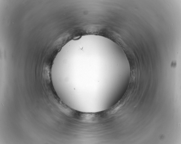 X0000093600575200711051201