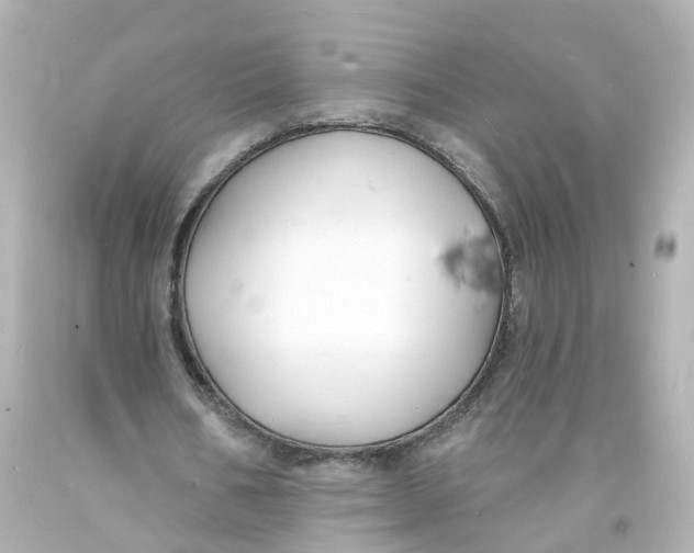 X0000093600578200711051200