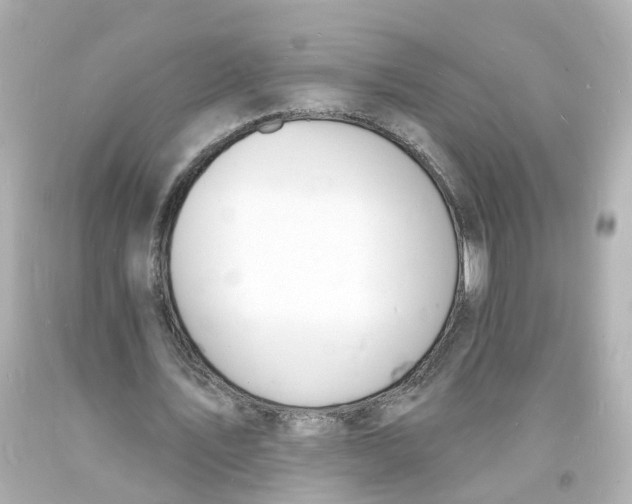 X0000093600579200711051200