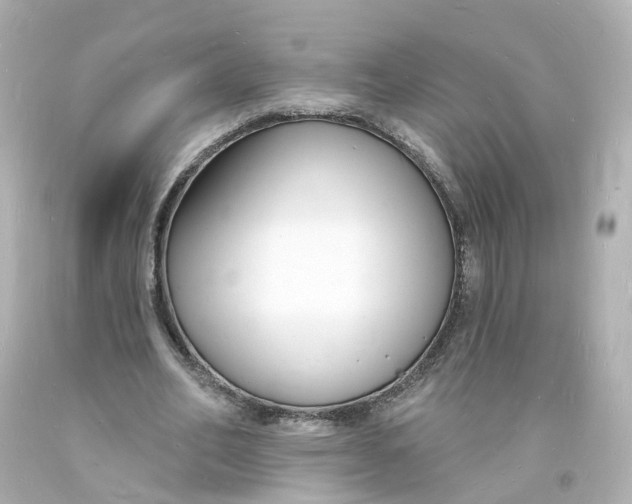 X0000093600582200711051200