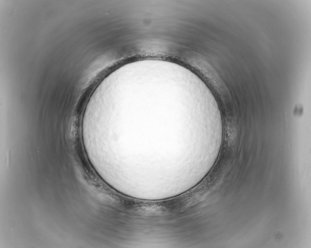 X0000093600583200711051200