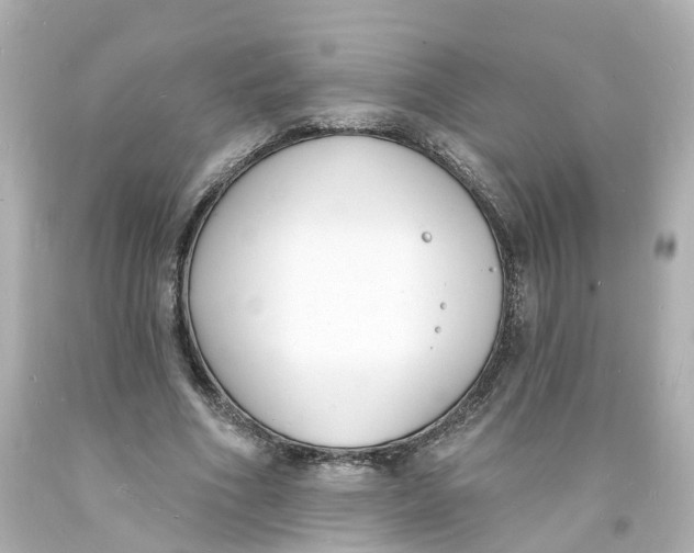 X0000093600586200711051200