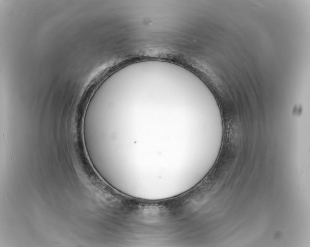 X0000093600587200711051200