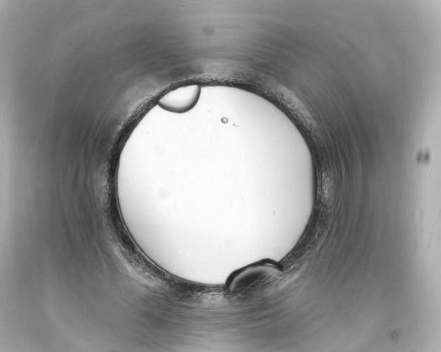 X0000093600588200711051200