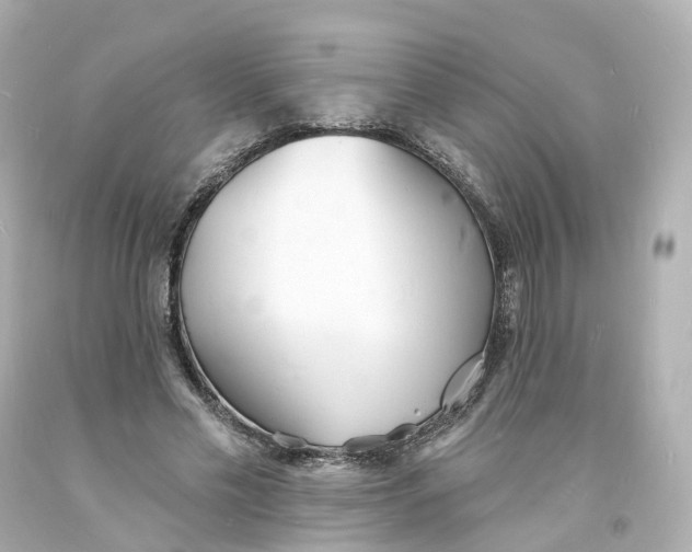 X0000093600589200711051200