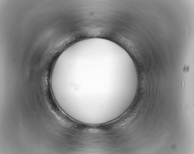 X0000093600590200711051200