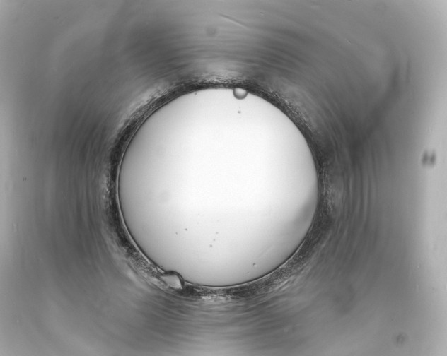 X0000093600591200711051200